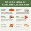 Mushroom Matcha | Sustained Energy & Focus Without Jitters