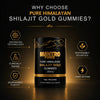 Reine Shilajit-Gummibonbons | Fühlen Sie sich in nur 5 Minuten 10 Jahre jünger!