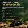 Pure Shilajit Gummies | After Comparing 5 Popular Multivitamins for Men Over 40, We Found One That Takes a Completely Different Approach