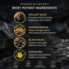 Himalayan Shilajit Gold Gummies | You’re Not Broken. You’re Running on Empty — It’s Time to Feel Like Yourself Again.