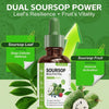 Soursop Multivitamins Organic Liquid Drops | Restores Vitality and Immune Health